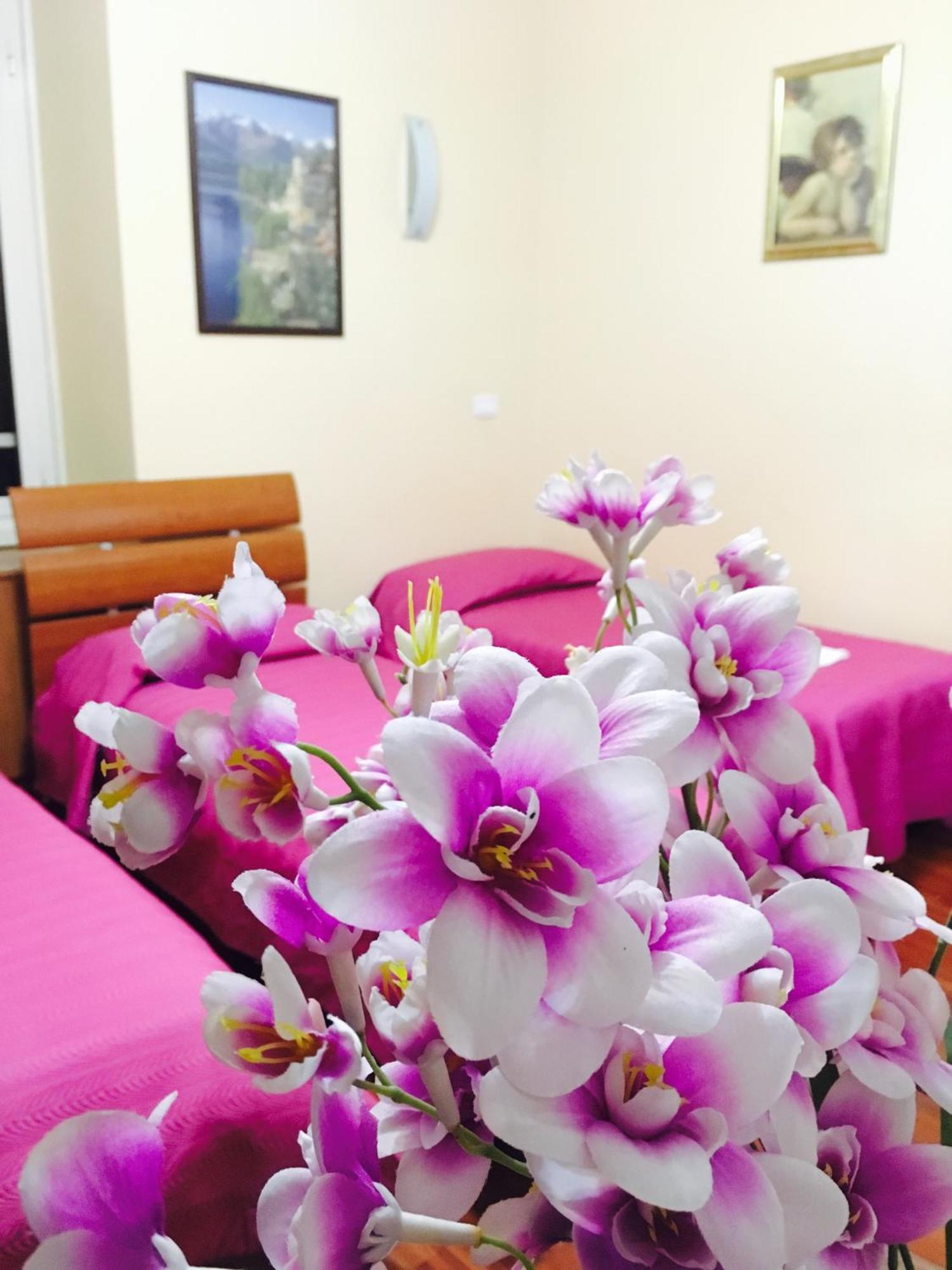 Zhihua Guest House Roma Dış mekan fotoğraf